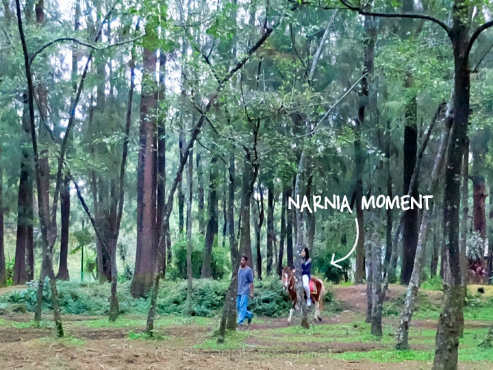 Baguio with a Toddler Horseback Wright Park