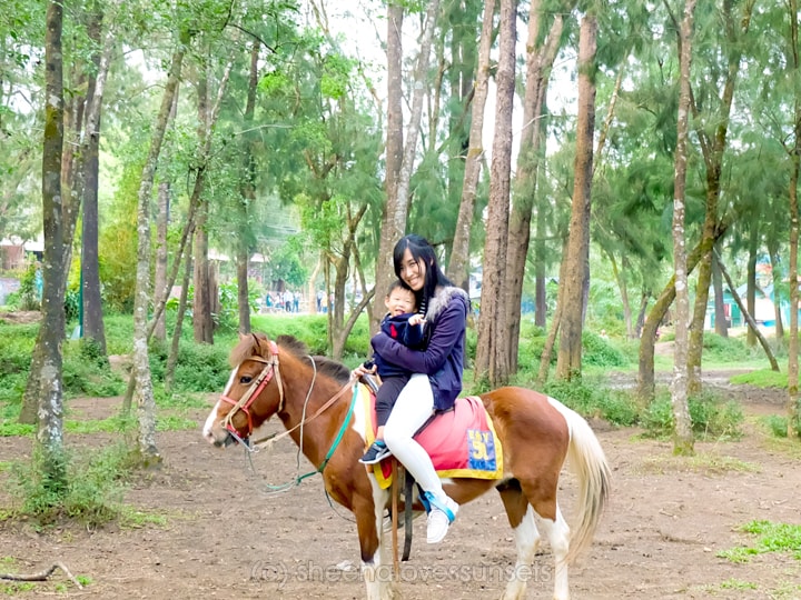 Baguio with a Toddler Horseback Wright Park