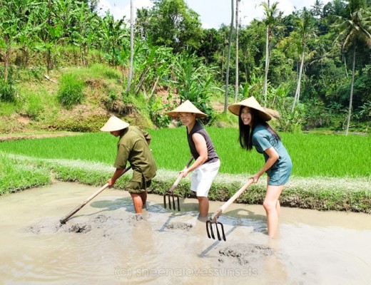 Four Seasons Sayan Balinese Farmer 15-min