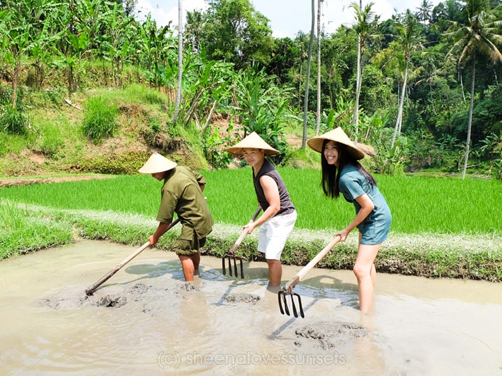 Four Seasons Sayan Balinese Farmer 15-min