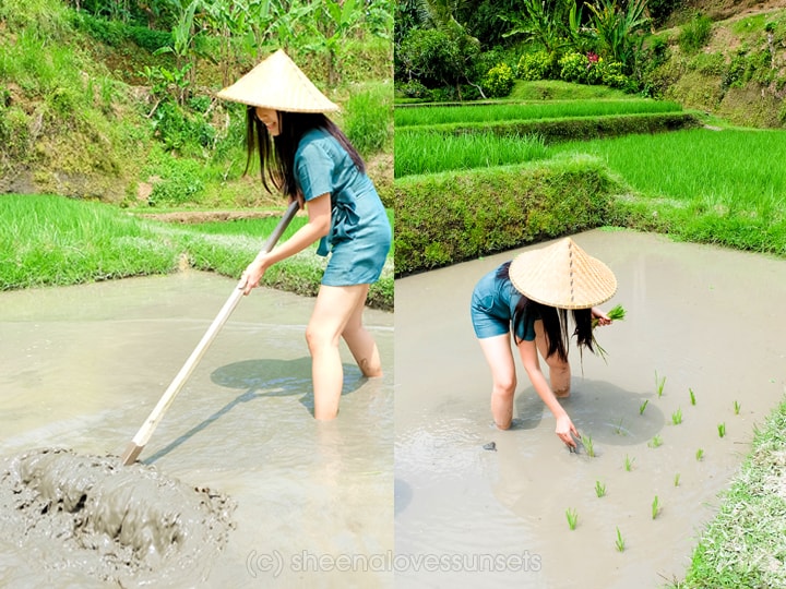 Four Seasons Sayan Balinese Farmer 17-min