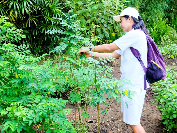 Four Seasons Sayan Balinese Farmer 29-min