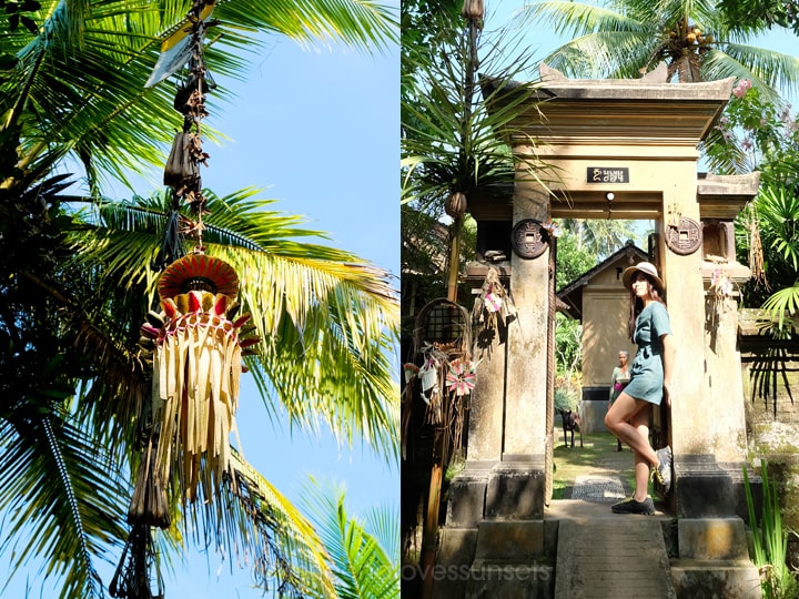 Four Seasons Sayan Balinese Farmer 5-min