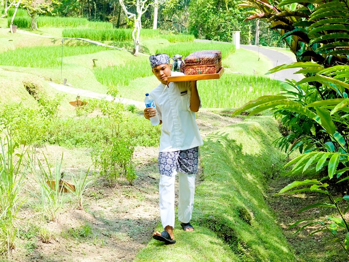 Four Seasons Sayan Balinese Farmer 9-min