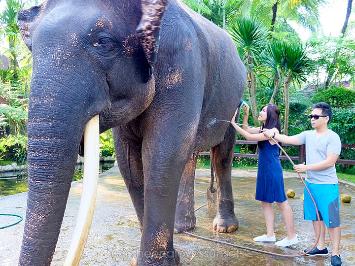 Elephant Safari Park Lodge Bali 1-min