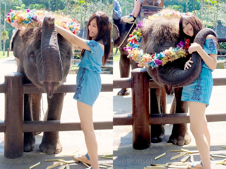 Elephant Safari Park Lodge Bali 11-min