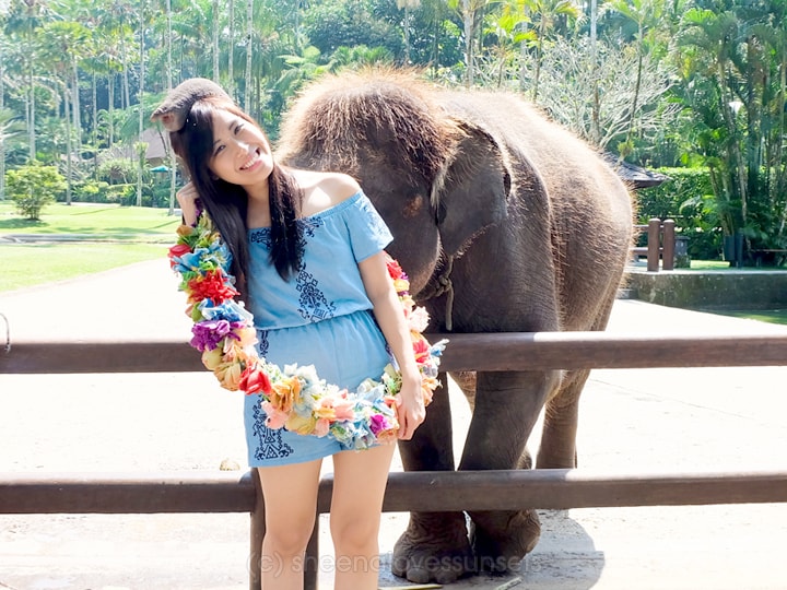 Elephant Safari Park Lodge Bali 12-min