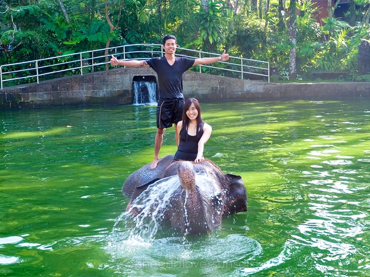 Elephant Safari Park Lodge Bali 20-min