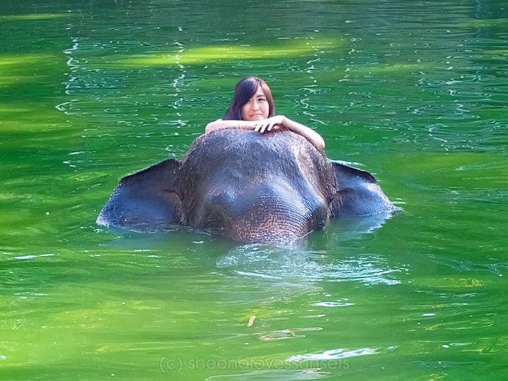 Elephant Safari Park Lodge Bali 22-min