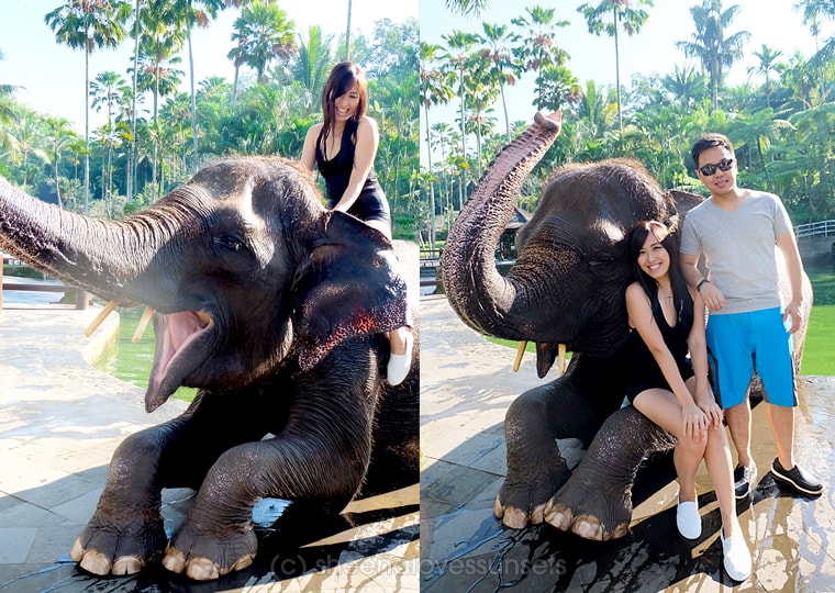 Elephant Safari Park Lodge Bali 26-min