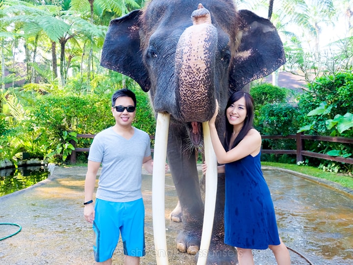 Elephant Safari Park Lodge Bali 32-min