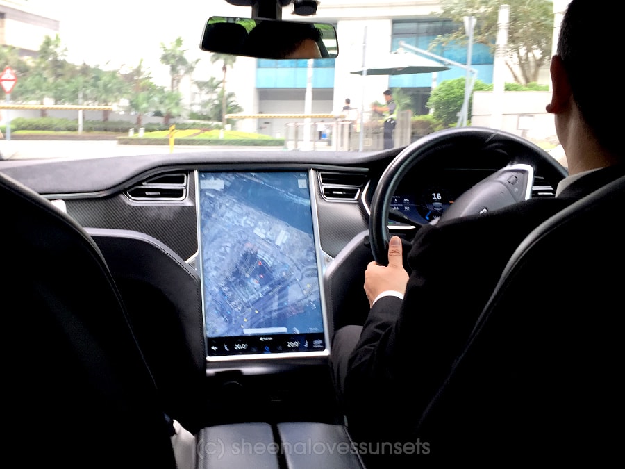 Ritz Tesla-min