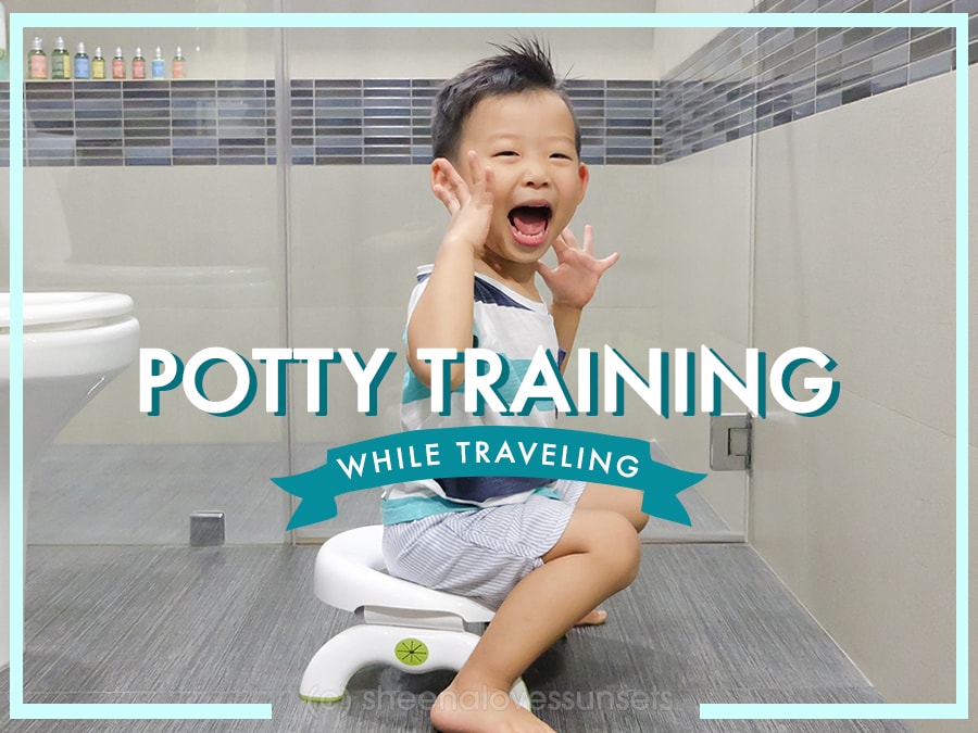 Potty Training Traveling 1-min (1)