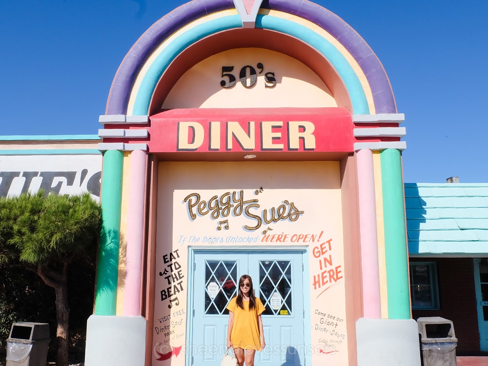 Peggy Sue Diner 11-min