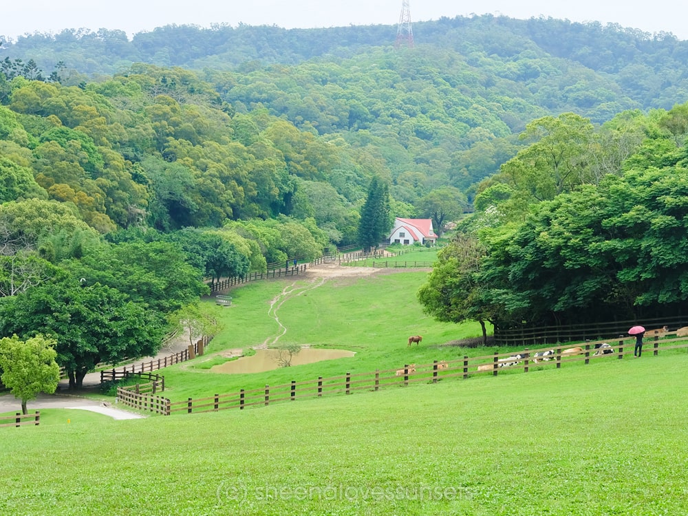 Flying Cow Ranch 2-min