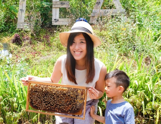 Milea Bee Farm Kids 2-min