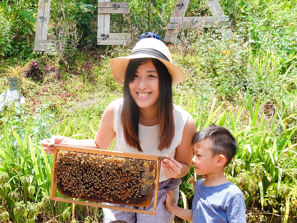 Milea Bee Farm Kids 2-min