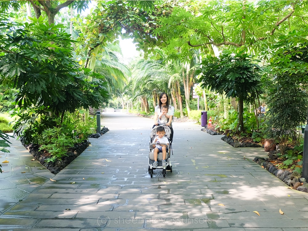 Gardens by the Bay Kids 26-min