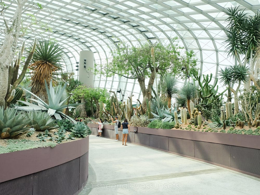 Gardens by the Bay Kids 3-min