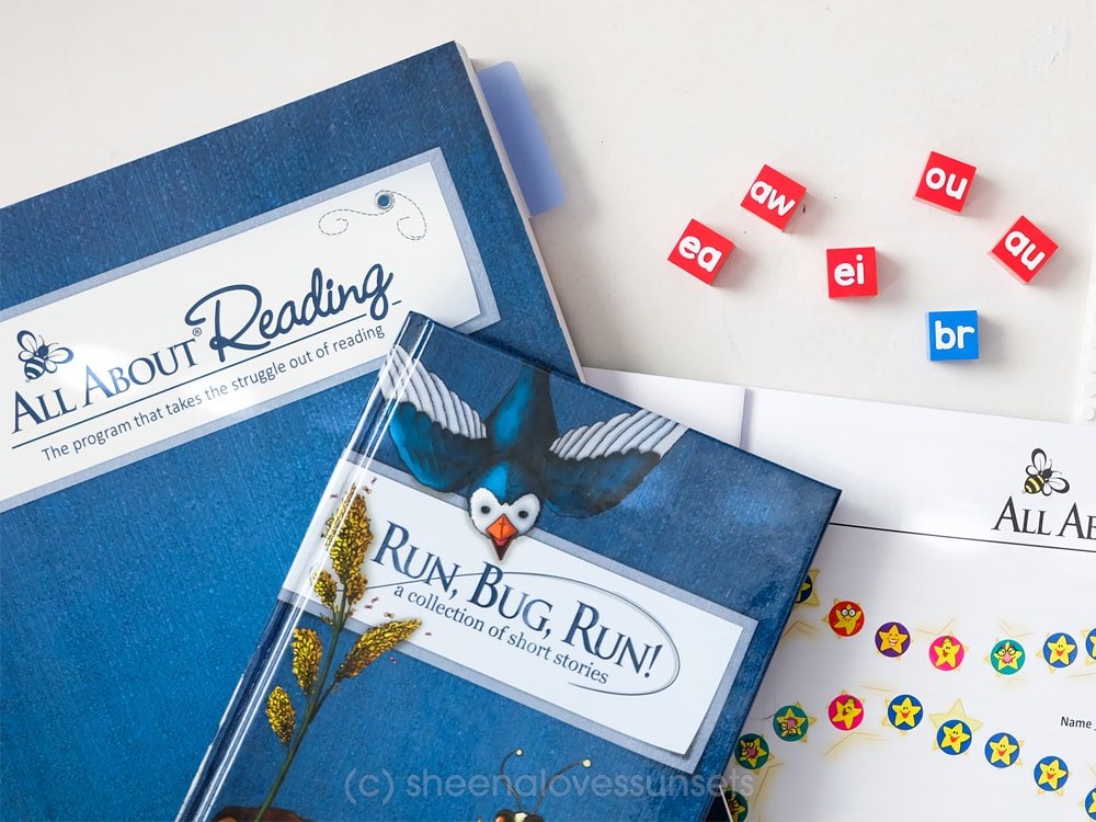 All about reading level 1 curriculum review
