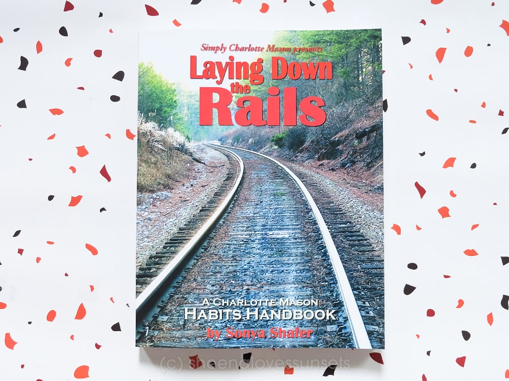 Laying Down the Rails Review 5-min