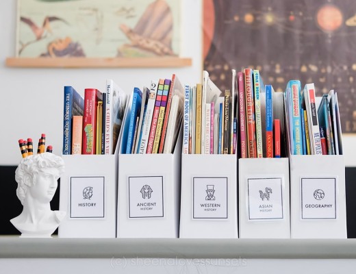 Organize Categorize Books 1-min