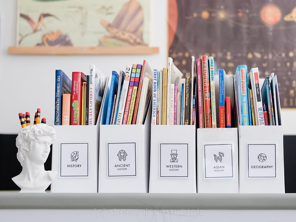 Organize Categorize Books 1-min