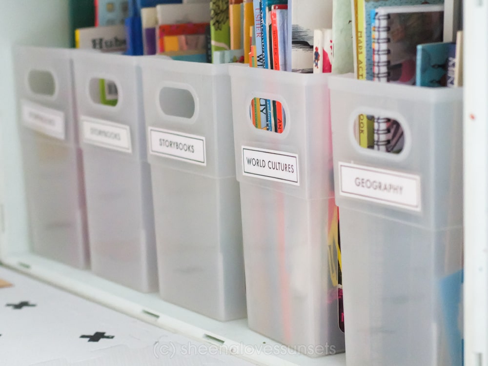 Organize Categorize Kids Books 4-min