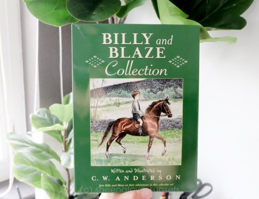 Billy and Blaze Book Review