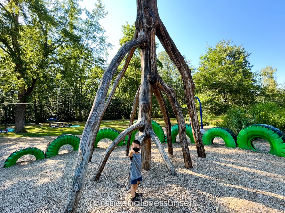 Vancouver Playgrounds Lions-min