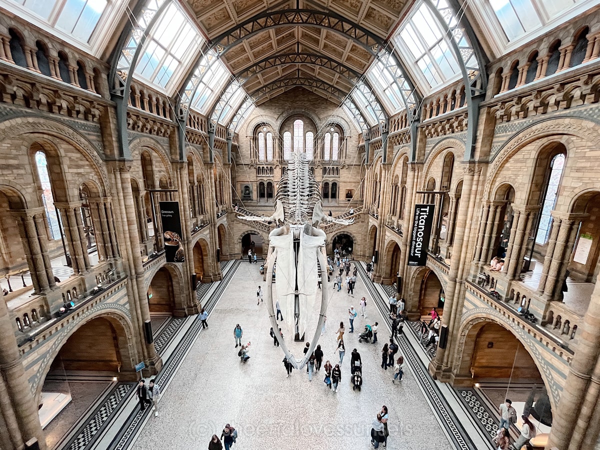 London Natural History Museum-min