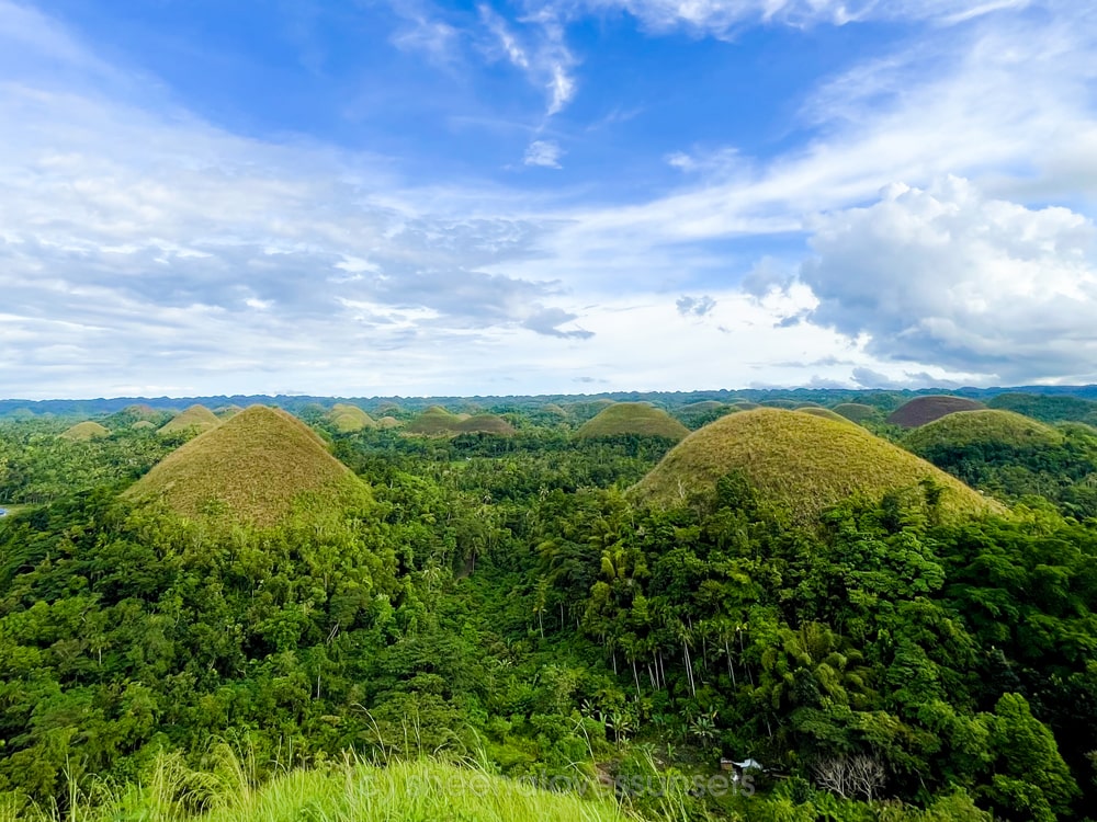 Bohol Chocolate Hills with Kids-min