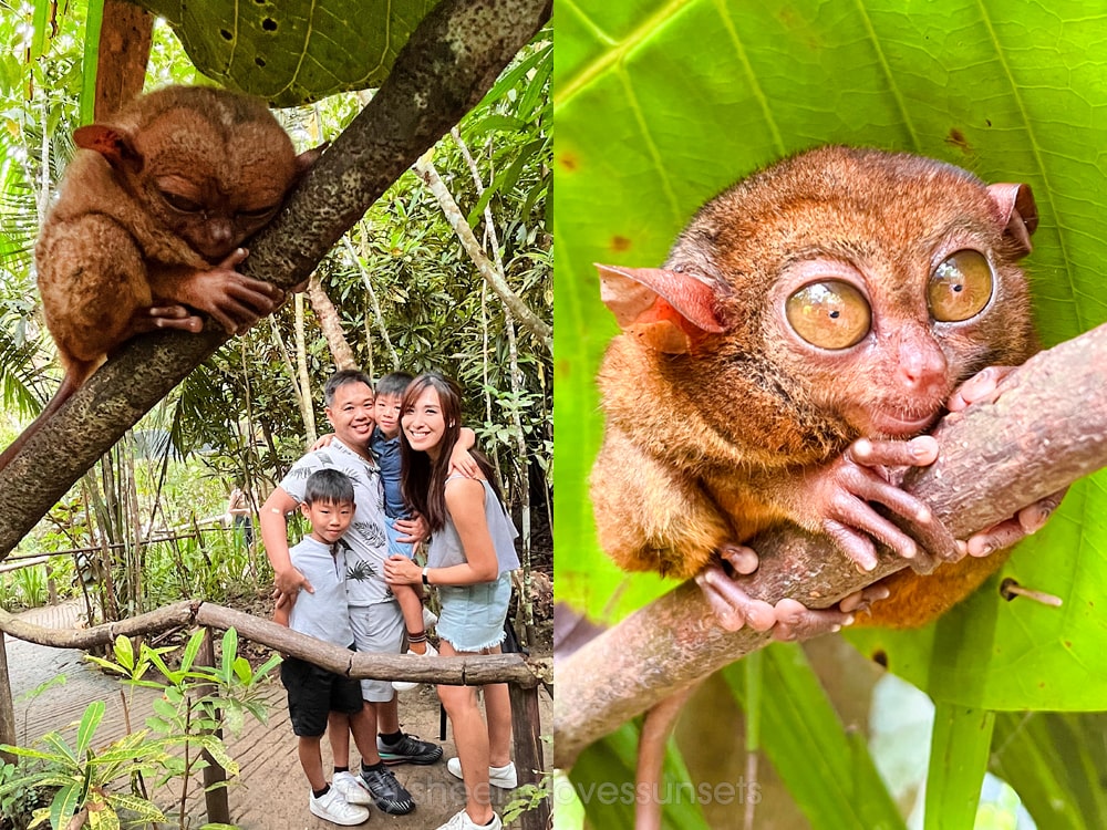 Bohol Kids Tarsier-min