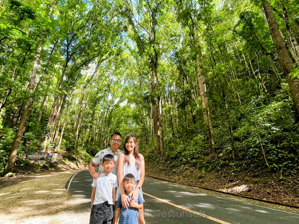 Bohol Man Made Forest-min