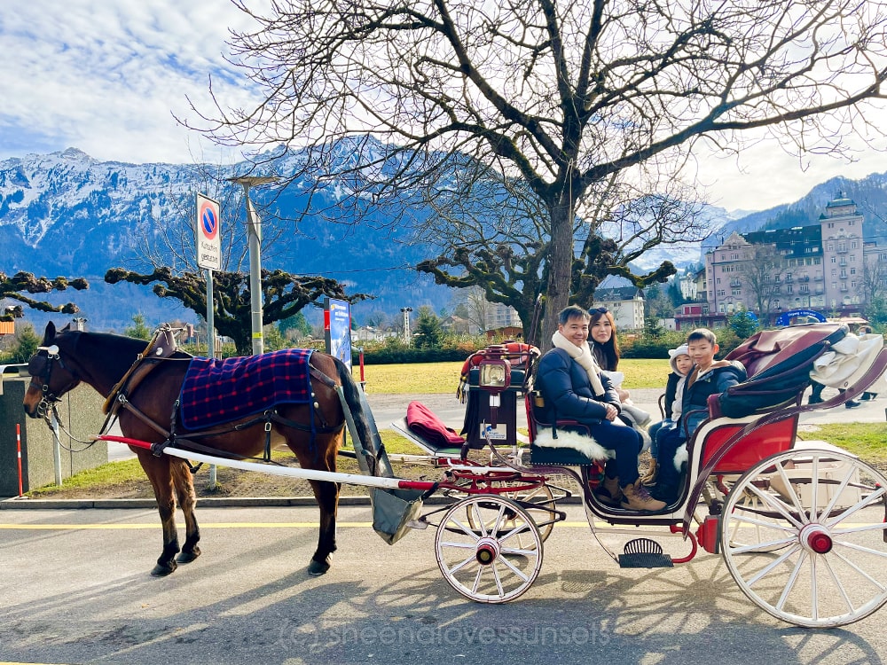 Switzerland Interlaken Horse Carriage-min